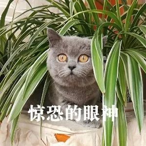 DƬ